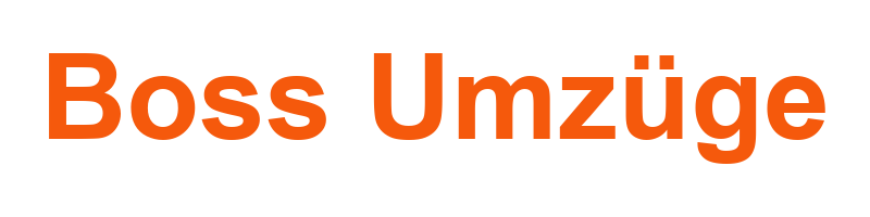 Logo Boss Umzüge